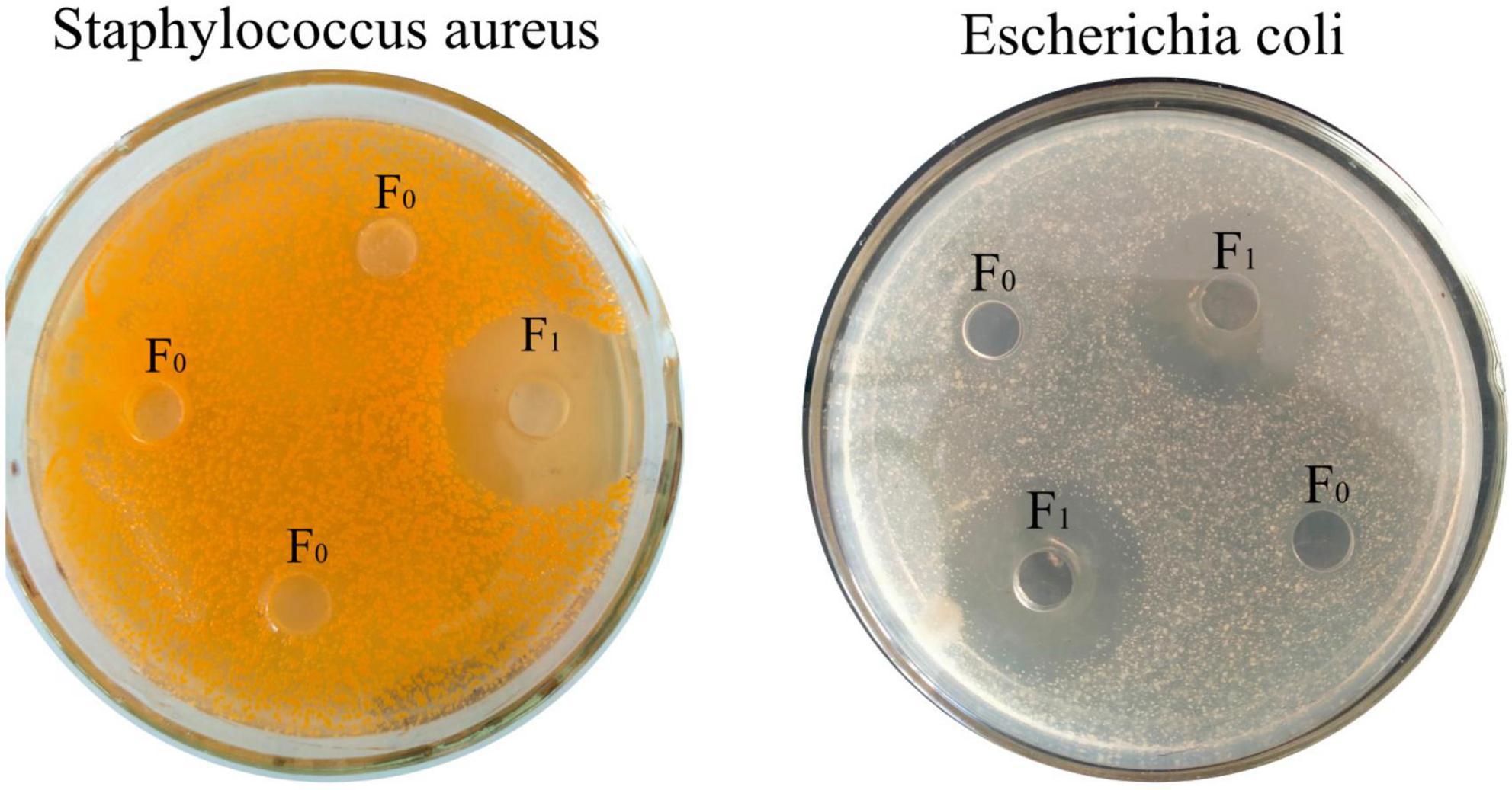 Non-targeted metabolomics and microbial analyses of the impact of oat antimicrobial peptides on rats with dextran sulfate sodium-induced enteritis